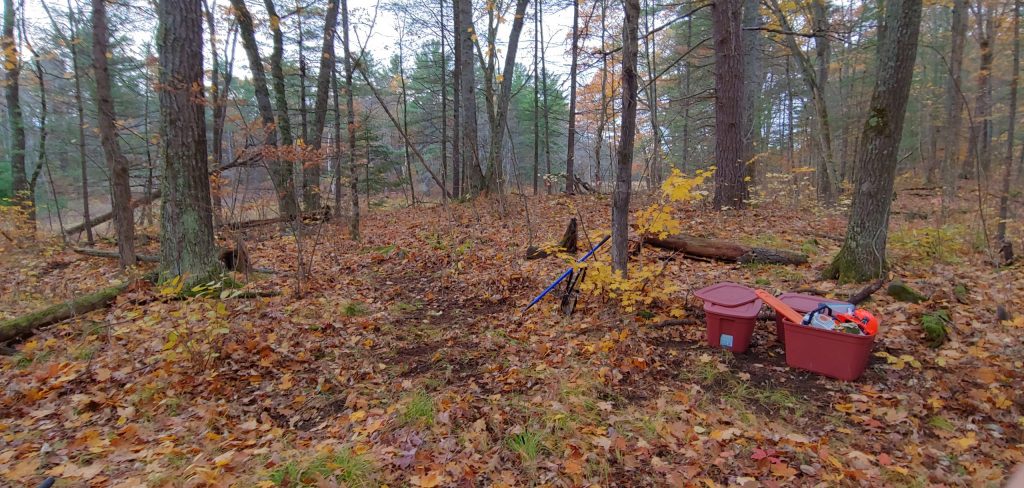 Campsite Chronicles: Land Clearing for Camps